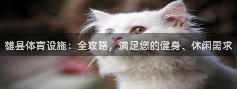 意昂体育3平台注册要钱吗：雄县体育设施：全攻略，满足