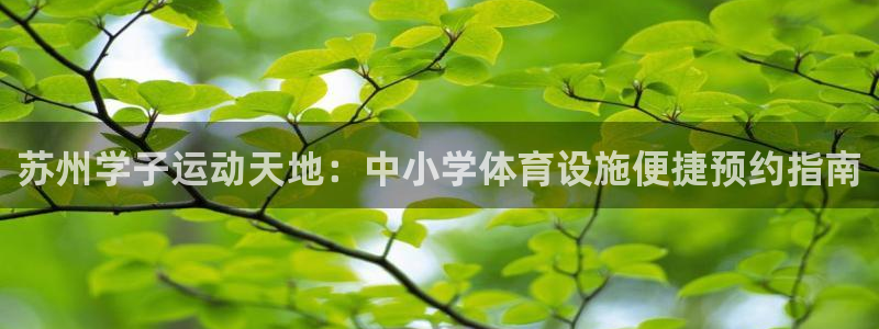 意昂集团官网：苏州学子运动天地：中小学体育设施便捷预