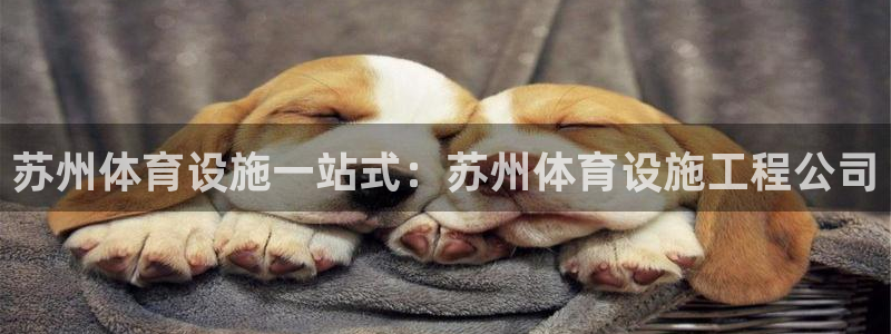 意昂3集团官网首页：苏州体育设施一站式：苏州体育设施