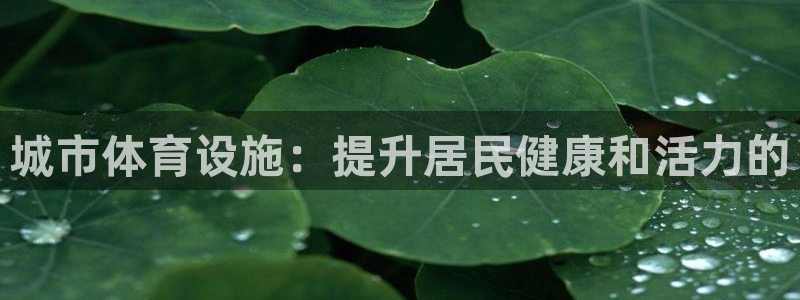 意昂体育3招商电话号码：城市体育设施：提升居民健康和