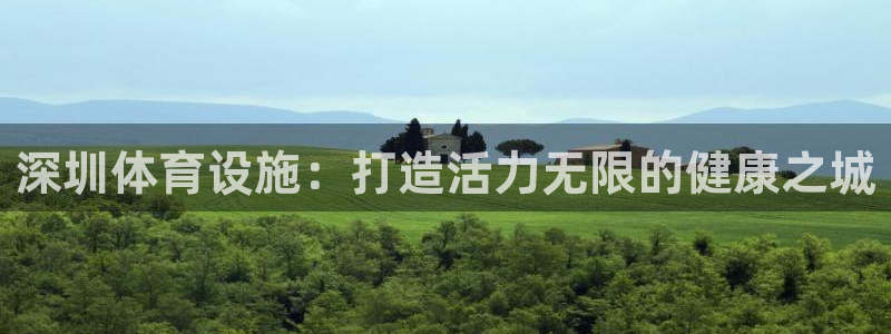 意昂体育3招商电话地址：深圳体育设施：打造活力无限的