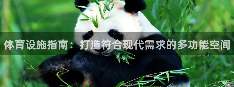 意昂体育3招商电话号码查询：体育设施指南：打造符合现