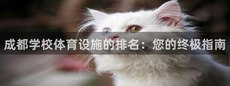 意昂集团官网：成都学校体育设施的排名：您的终极指南