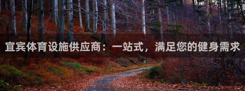 意昂体育3是干嘛的公司：宜宾体育设施供应商：一站式，