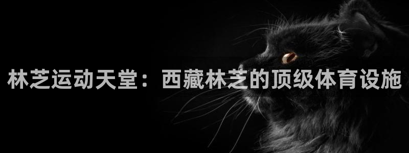 意昂体育3平台注册流程图：林芝运动天堂：西藏林芝的顶