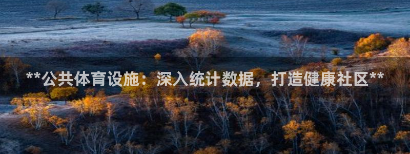 意昂3集团：**公共体育设施：深入统计数据，打造健康
