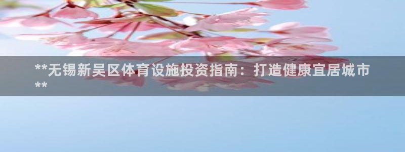 意昂体育3平台注册：**无锡新吴区体育设施投资指南：