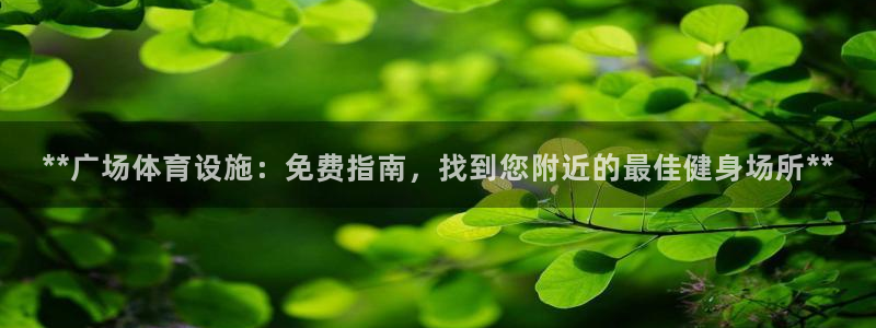 意昂3娱乐首页网站大全：**广场体育设施：免费指南，
