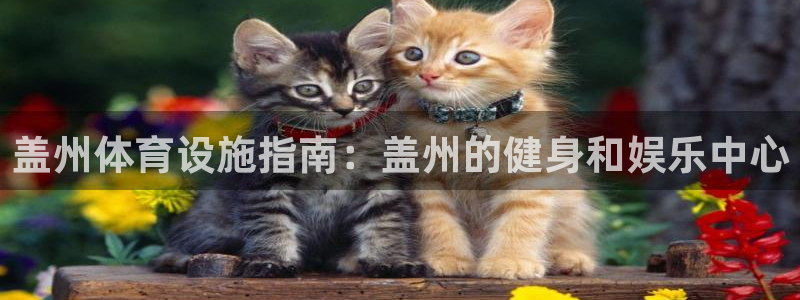 意昂3集团官网首页网址：盖州体育设施指南：盖州的健身