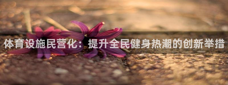 意昂3新能源：体育设施民营化：提升全民健身热潮的创新