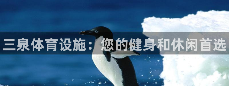 意昂3五金厂：三泉体育设施：您的健身和休闲首选