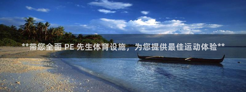 意昂体育3平台APP：**带您全面 PE 先生体育设