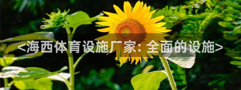 意昂体育3招商电话是多少：<海西体育设施厂家: 全面