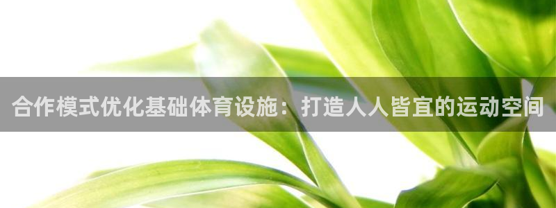 注册意昂3：合作模式优化基础体育设施：打造人人皆宜的