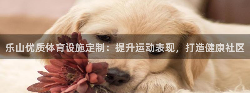 意昂体育3平台是正规平台吗：乐山优质体育设施定制：提