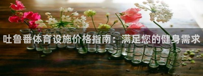 意昂3集团E.ON：吐鲁番体育设施价格指南：满足您的