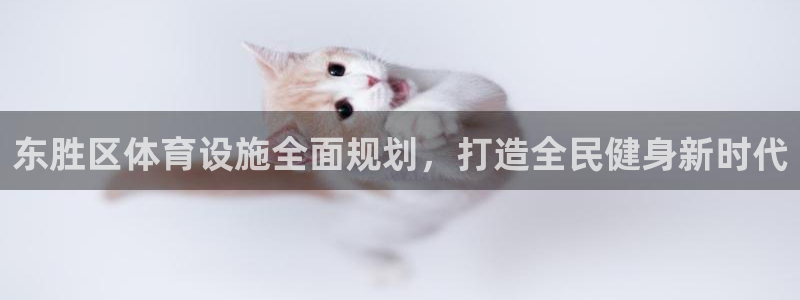 意昂体育3招商电话号码查询：东胜区体育设施全面规划，