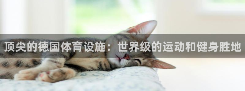 意昂体育3软件：顶尖的德国体育设施：世界级的运动和健