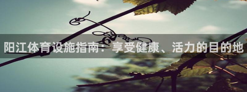 意昂体育3平台注册要钱吗：阳江体育设施指南：享受健康