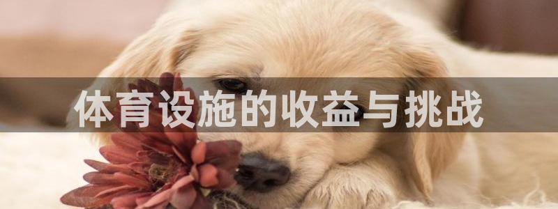 意昂体育3平台是正规平台吗：体育设施的收益与挑战