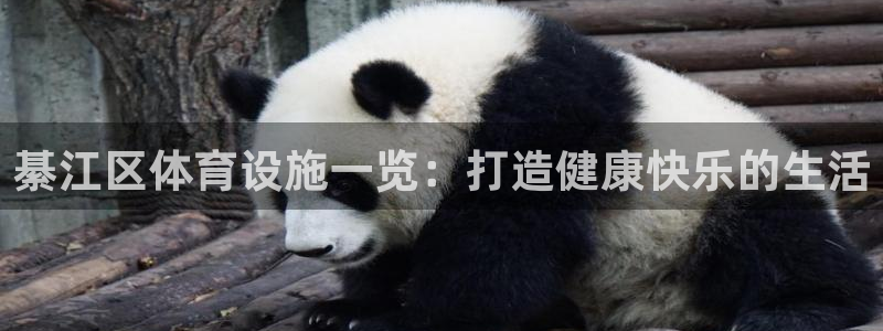 意昂3官网
