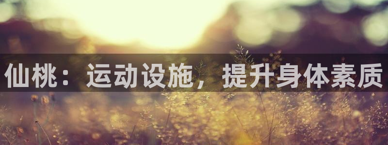 意昂体育3招商电话是多少：仙桃：运动设施，提升身体素
