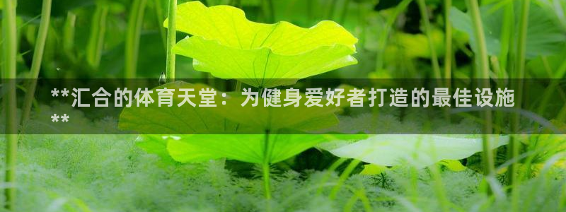意昂体育3是干嘛的公司：**汇合的体育天堂：为健身爱