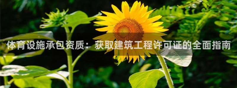 意昂3娱乐代理怎么样