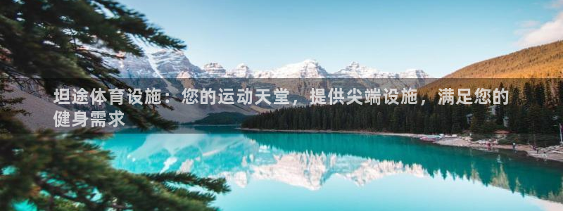 意昂体育3娱乐：坦途体育设施：您的运动天堂，提供尖端