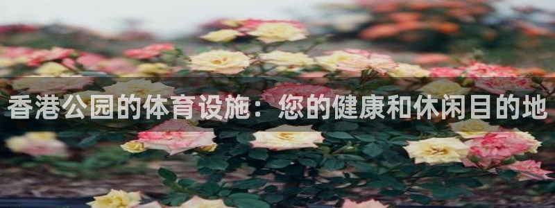 意昂体育3平台注册：香港公园的体育设施：您的健康和休