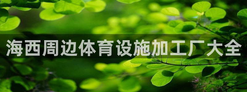 意昂3开户：海西周边体育设施加工厂大全