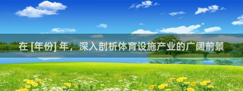 意昂3娱乐：在 [年份] 年，深入剖析体育设施产业的