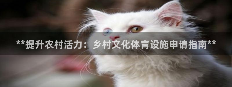 意昂3娱乐首页官网下载：**提升农村活力：乡村文化体