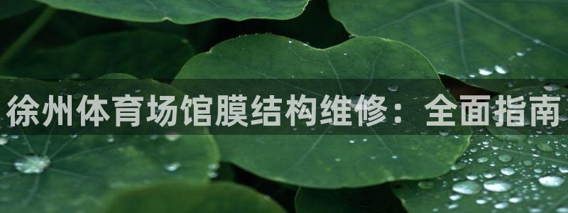 意昂3集团官网首页网址：徐州体育场馆膜结构维修：全面指南