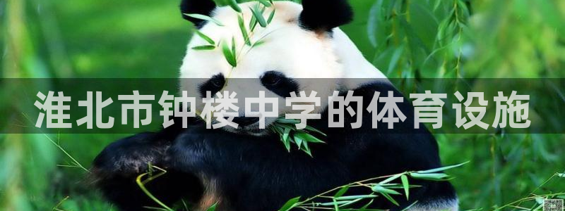 意昂体育3：淮北市钟楼中学的体育设施
