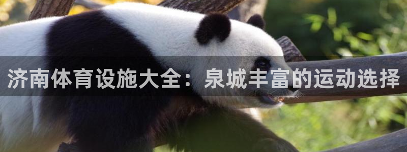 意昂体育3招商电话号码是多少：济南体育设施大全：泉城丰富的运