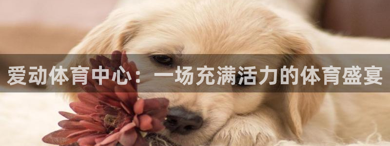 意昂3集团官网网址