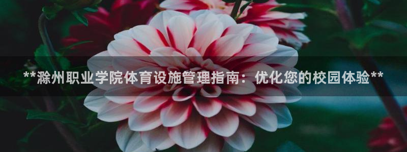 意昂3娱乐代理怎么样：**滁州职业学院体育设施管理指南：优化