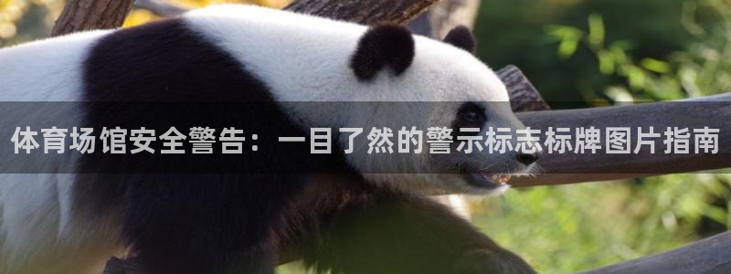 意昂体育3招商：体育场馆安全警告：一目了然的警示标志标牌图片