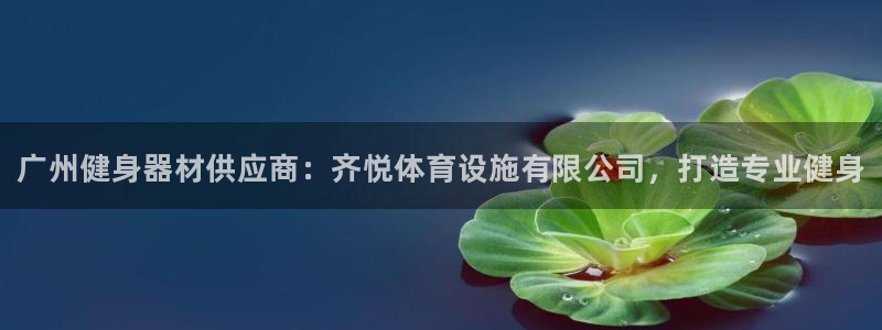 意昂体育3平台注册要钱吗：广州健身器材供应商：齐悦体育设施有