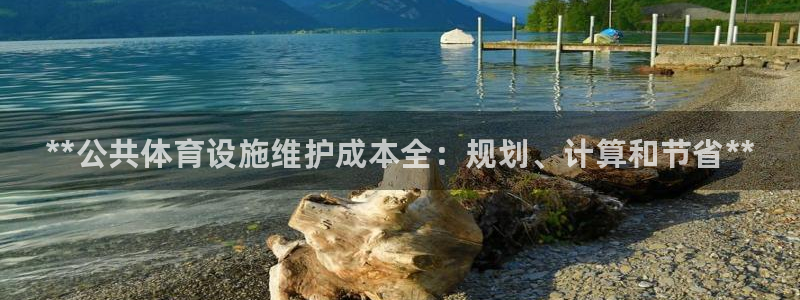 意昂3科技：**公共体育设施维护成本全：规划、计算和节省**