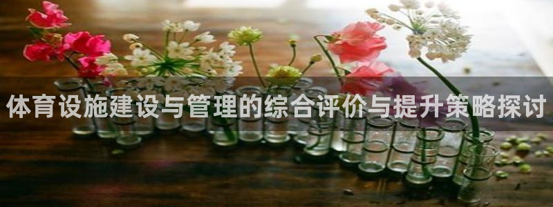 意昂体育3平台注册：体育设施建设与管理的综合评价与提升策略探