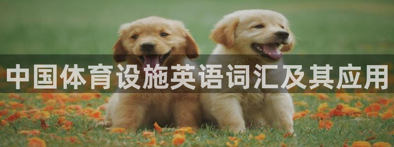 意昂体育3联系电话：中国体育设施英语词汇及其应用