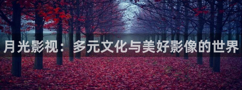 噜噜影院18：月光影视：多元文化与美好影像的世界